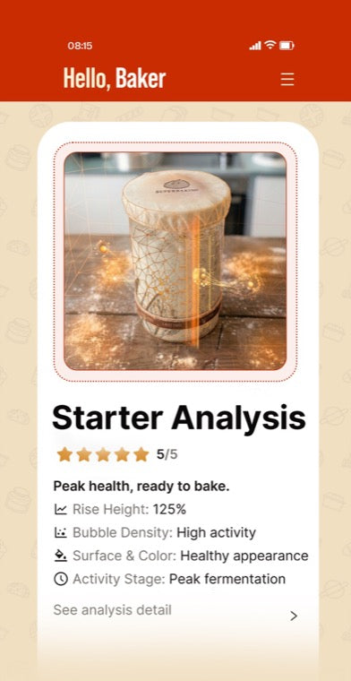 BakeSide starter analysis: 5 out of 5, rise height and bubble density