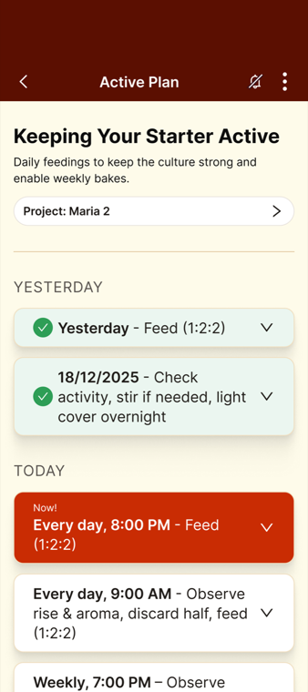 BakeSide smart timing: a bake schedule built around your kitchen
